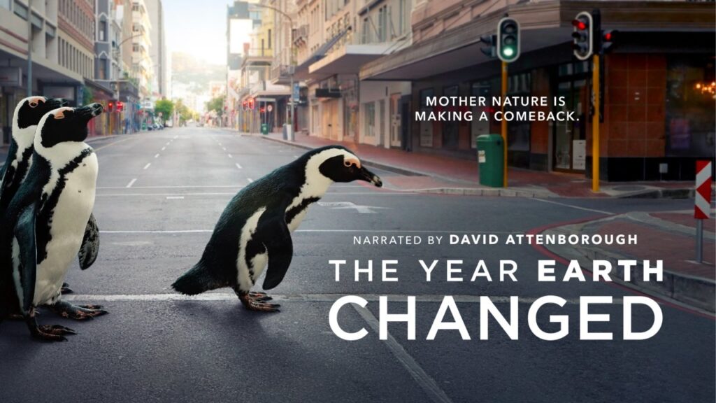 Apple TV+ documentary 'The Year Earth Changed' wins Television Academy Honors award